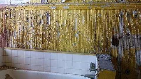 Dangerous But Worth The Risk - DSC03000.jpg