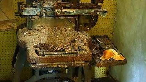 Dangerous But Worth The Risk - DSC03007.jpg