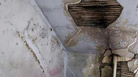 Dangerous But Worth The Risk - DSC03010.jpg