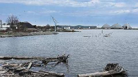 Port Oshawa Marina - Port-Oshawa-Marina50.jpg