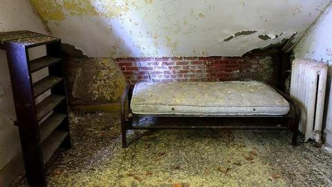 Dangerous But Worth The Risk - DSC03017.jpg