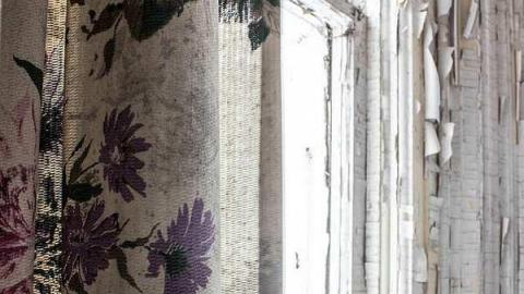 Photo from Hutchinson Farm 