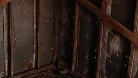 Photo from Empty Shed- 401