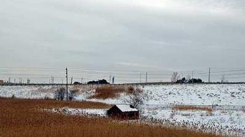 Photo from Empty Shed- 401