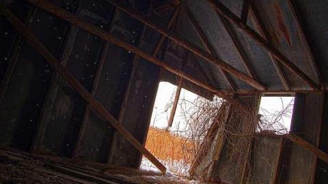 Photo from Empty Shed- 401