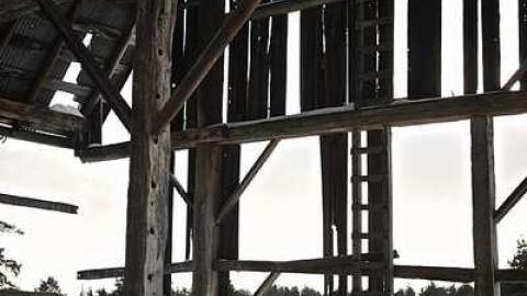 Winter 15 - Land-Diver1.jpg