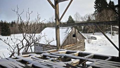 Winter 15 - Land-Diver36.jpg