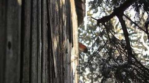 1820 Farmstead photo 3