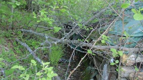 Mattagami Cabin - Mattagami-Cabin7.jpg