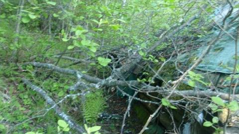 Mattagami Cabin - Mattagami-Cabin8.jpg