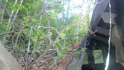 Mattagami Cabin - Mattagami-Cabin11.jpg