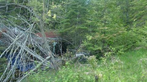Mattagami Cabin - Mattagami-Cabin4.jpg