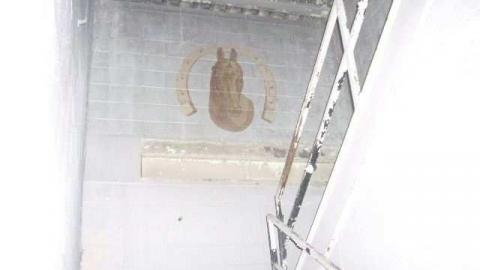 Kingston Raceway photo 4