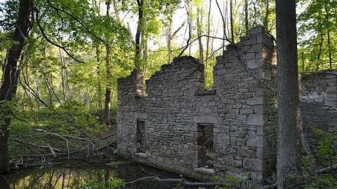 Peaceful - Barber-Dynamo74.jpg