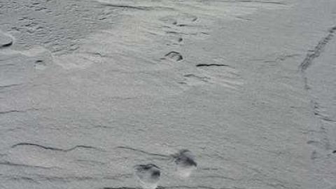 Their work is done - Buxton-Pioneer-Cemetery26.jpg