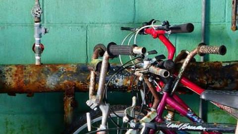 Summer Camp - P1010424.jpg