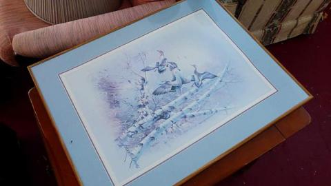 Summer Camp - P1010420.jpg