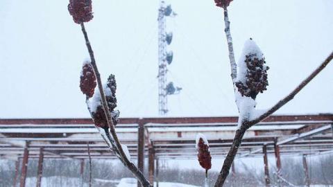 February 2015 - Military-Radio-Tower4.jpg