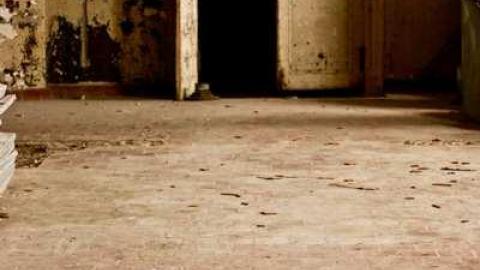 Preston Springs Hotel photo 3