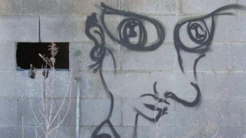 Morning Shed - Shed-on-Morning-Sideroad5.jpg