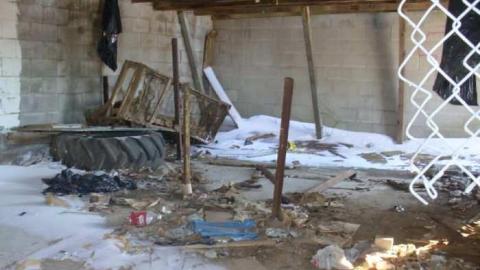 Shed on Morning Sideroad photo 2