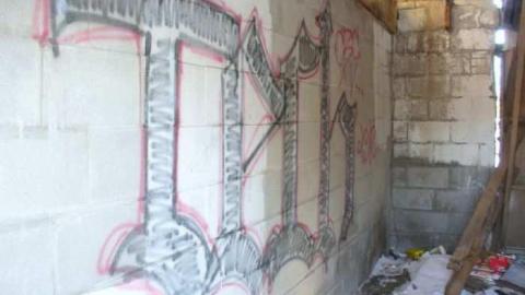 Shed on Morning Sideroad photo 5