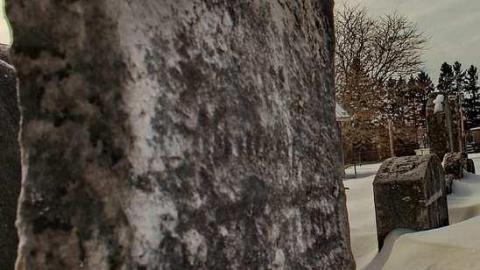 Erbtown was here - Erbtown-Pioneer-Cemetery10.jpg