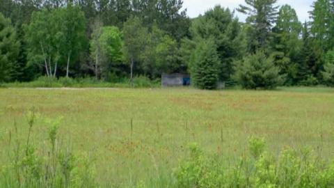 Irondale (ghost town) cover photo