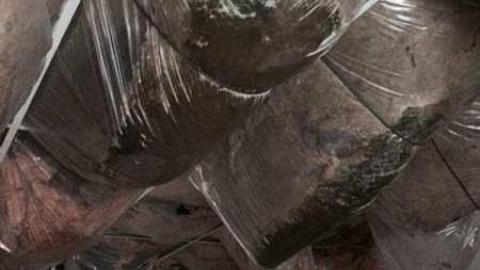 Haunted feeling - zhimage.jpg