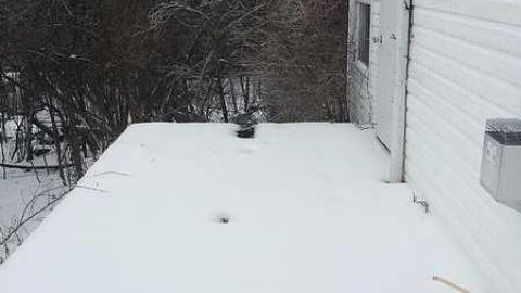 Photo from Haunted feeling