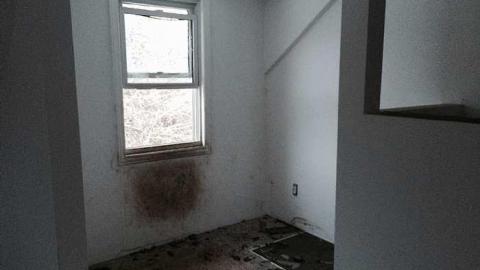 Haunted feeling - mzimage.jpg