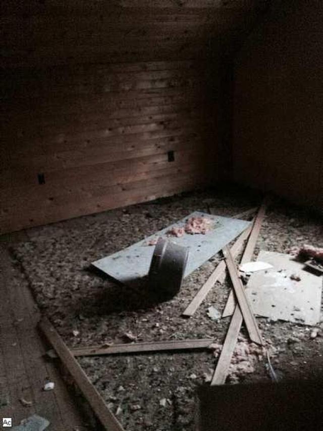 BAD vibes... very hidden photo 4