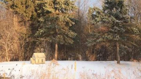 Almond Village photo 5