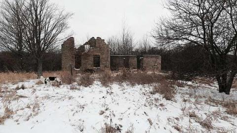 2015 - Top-of-Blue24.jpg