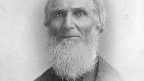 Almond Village photo 4