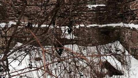 2015 - Top-of-Blue23.jpg