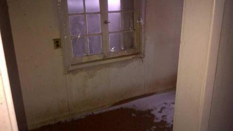 Feb 2015 - Hamilton 2-20150222-02457.jpg