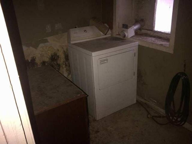 Feb 2015 - Hamilton 2-20150222-02462.jpg