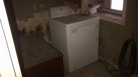 Feb 2015 - Hamilton 2-20150222-02462.jpg