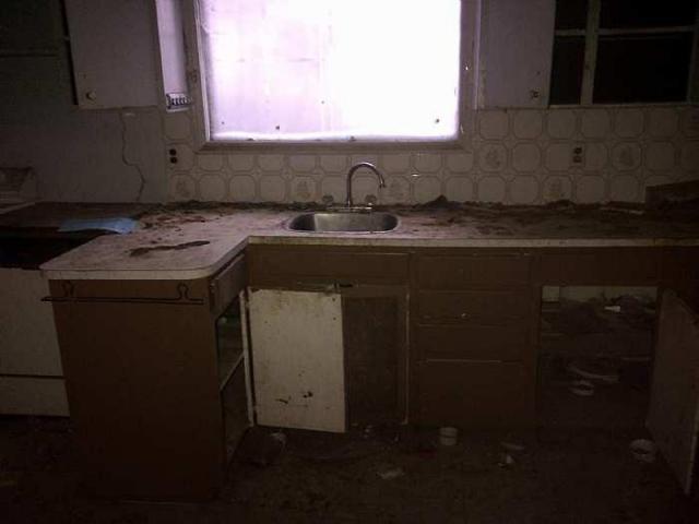 Feb 2015 - Hamilton 2-20150222-02463.jpg