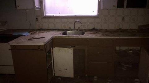 Feb 2015 - Hamilton 2-20150222-02463.jpg