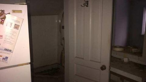 Feb 2015 - Hamilton 2-20150222-02464.jpg