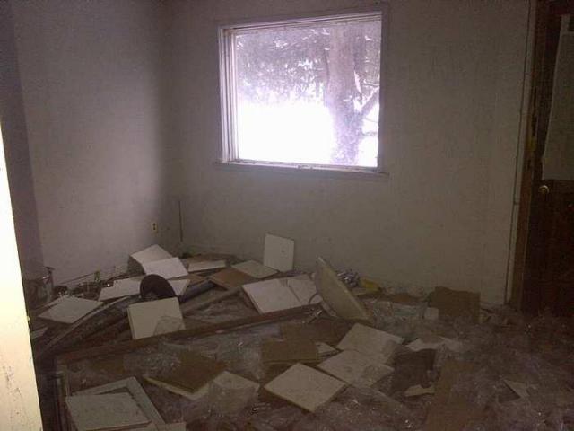 Feb 2015 - Hamilton 2-20150222-02466.jpg