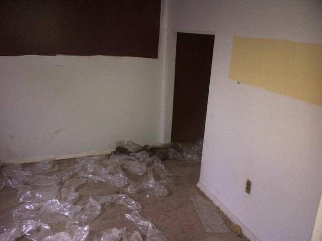 Feb 2015 - Hamilton 2-20150222-02469.jpg