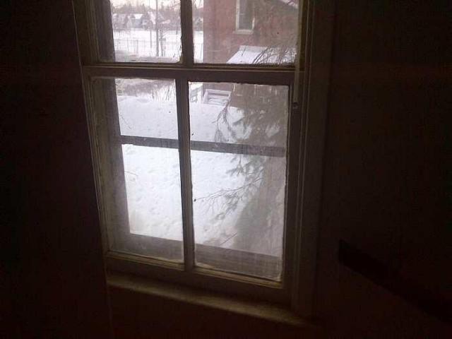 Feb 2015 - Hamilton 2-20150222-02473.jpg