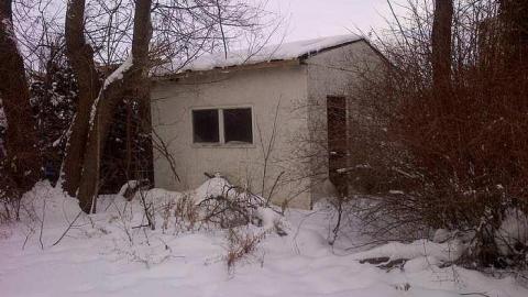 Feb 2015 - Hamilton 2-20150222-02477.jpg