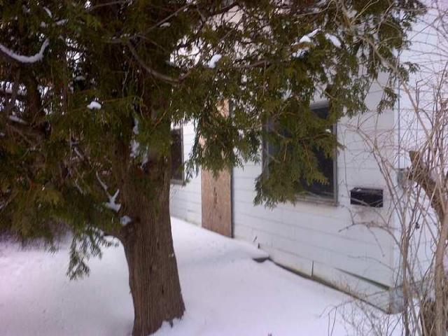 Winter Cottage photo 4