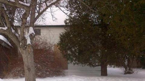 Feb 2015 - Hamilton 2-20150222-02485.jpg