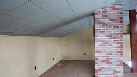 february barn visit - IMG_8918.jpg