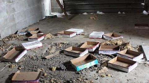 february barn visit - IMG_8945.jpg